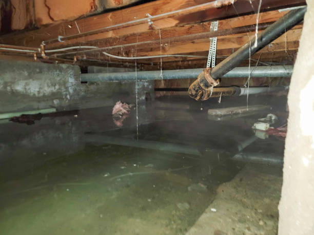 Best Ceiling water damage repair  in Alpharetta, GA