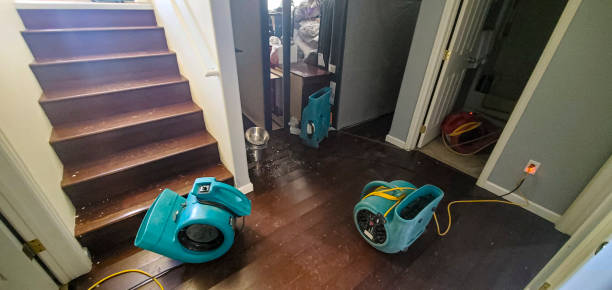 Best Water damage contractors near me  in Alpharetta, GA