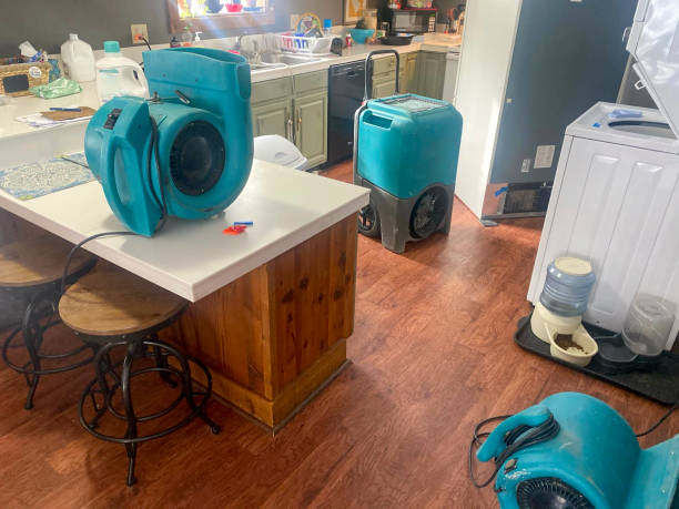 Best Water damage restoration near me  in Alpharetta, GA
