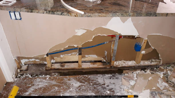 Best Flood damage cleanup  in Alpharetta, GA