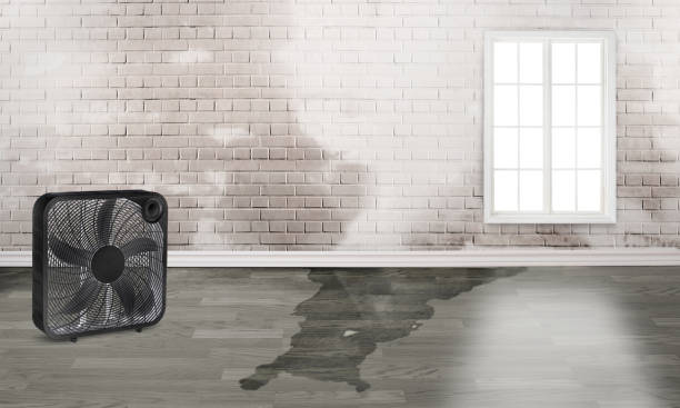 Best Local water damage restoration  in Alpharetta, GA