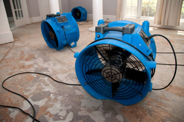 Best Flooded house restoration  in Alpharetta, GA