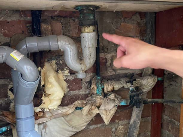 Best Mold removal after water damage  in Alpharetta, GA