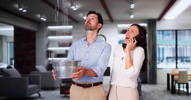 Best Fire Damage Restoration  in Alpharetta, GA